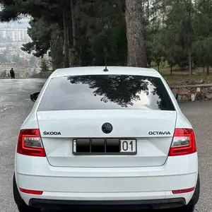 Skoda Octavia, 2019