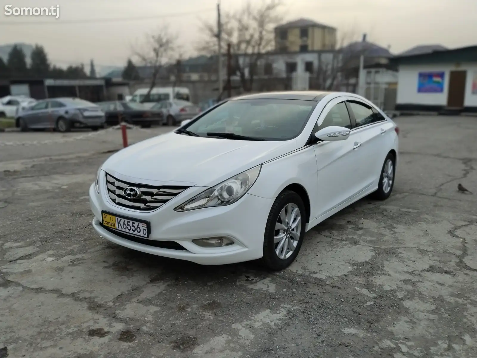 Hyundai Sonata, 2010-1