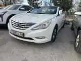 Hyundai Sonata, 2010-3