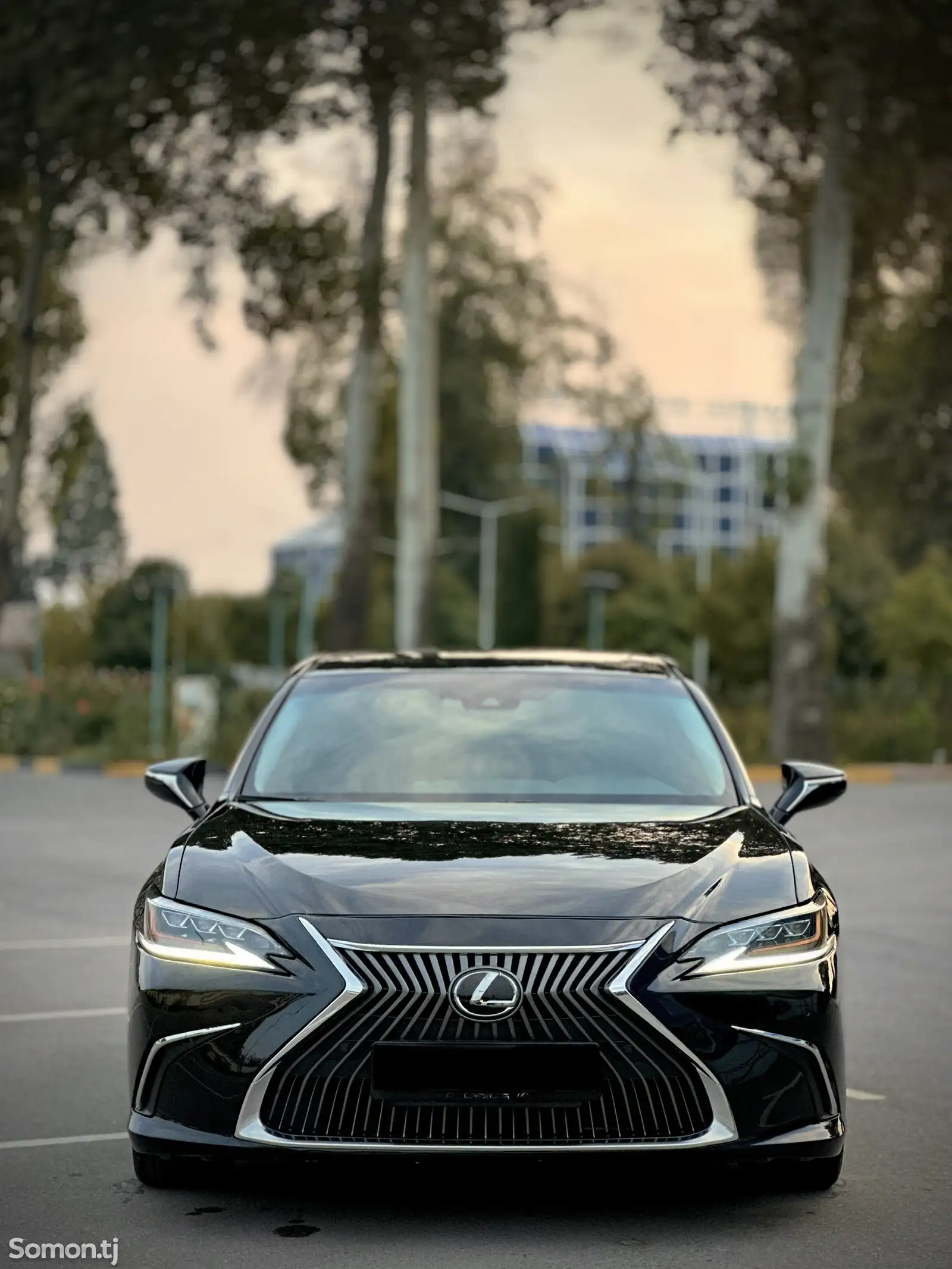 Lexus ES series, 2019-3