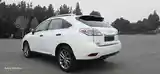 Lexus RX series, 2010-5