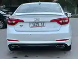 Hyundai Sonata, 2014-11