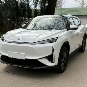 Dongfeng L7, 2025