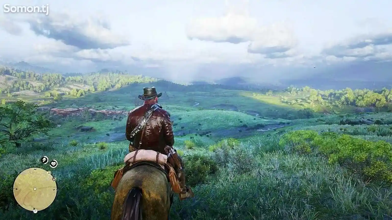 Игра Red Dead Redemption 2 на PS4-5