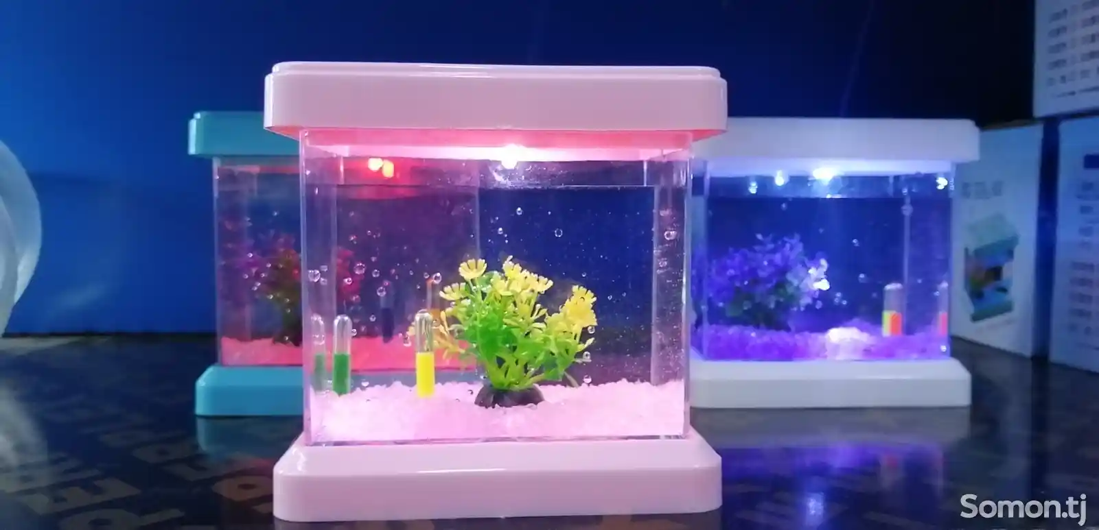 Мини-аквариум-3