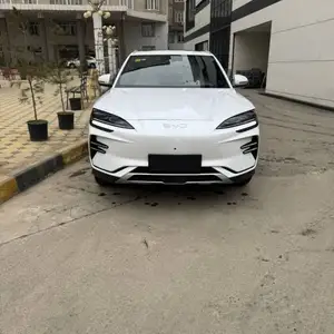 BYD Song Plus Flagship, 2024