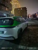 Авто в аренду-4