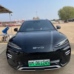 BYD Song Plus Flagship, 2024