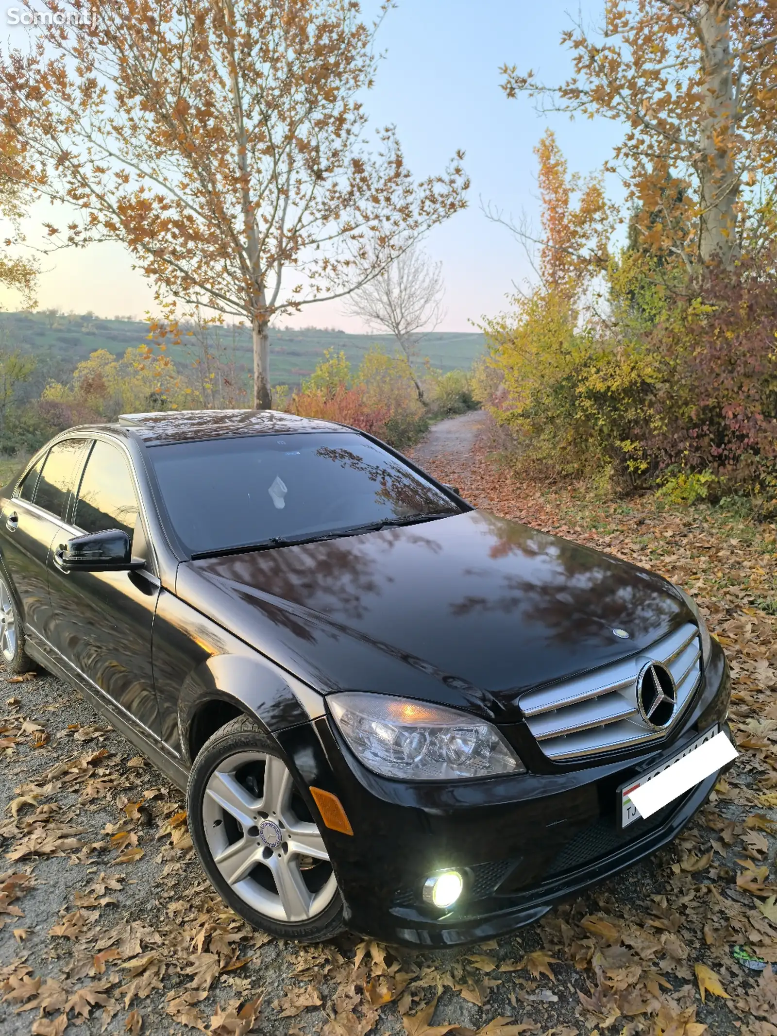 Mercedes-Benz C class, 2010-1