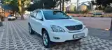 Lexus RX series, 2007-2