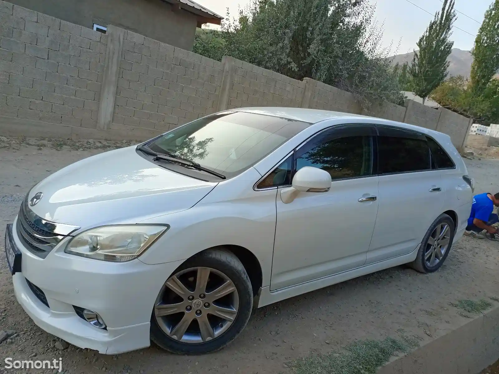 Toyota Mark X ZiO, 2009-4