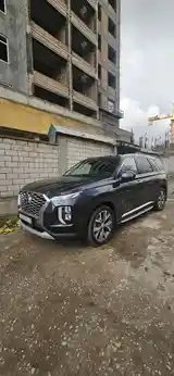 Hyundai Palisade, 2020-3