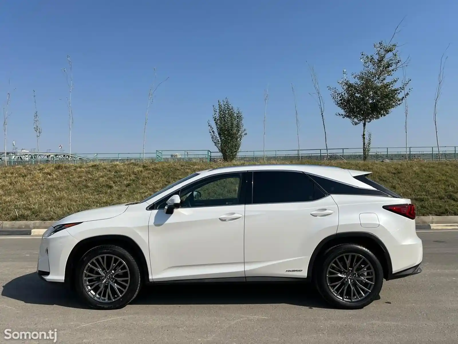 Lexus RX series, 2019-7