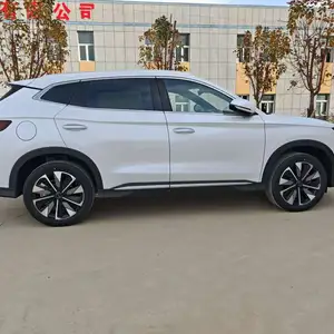 BYD Song Plus Flagship, 2024