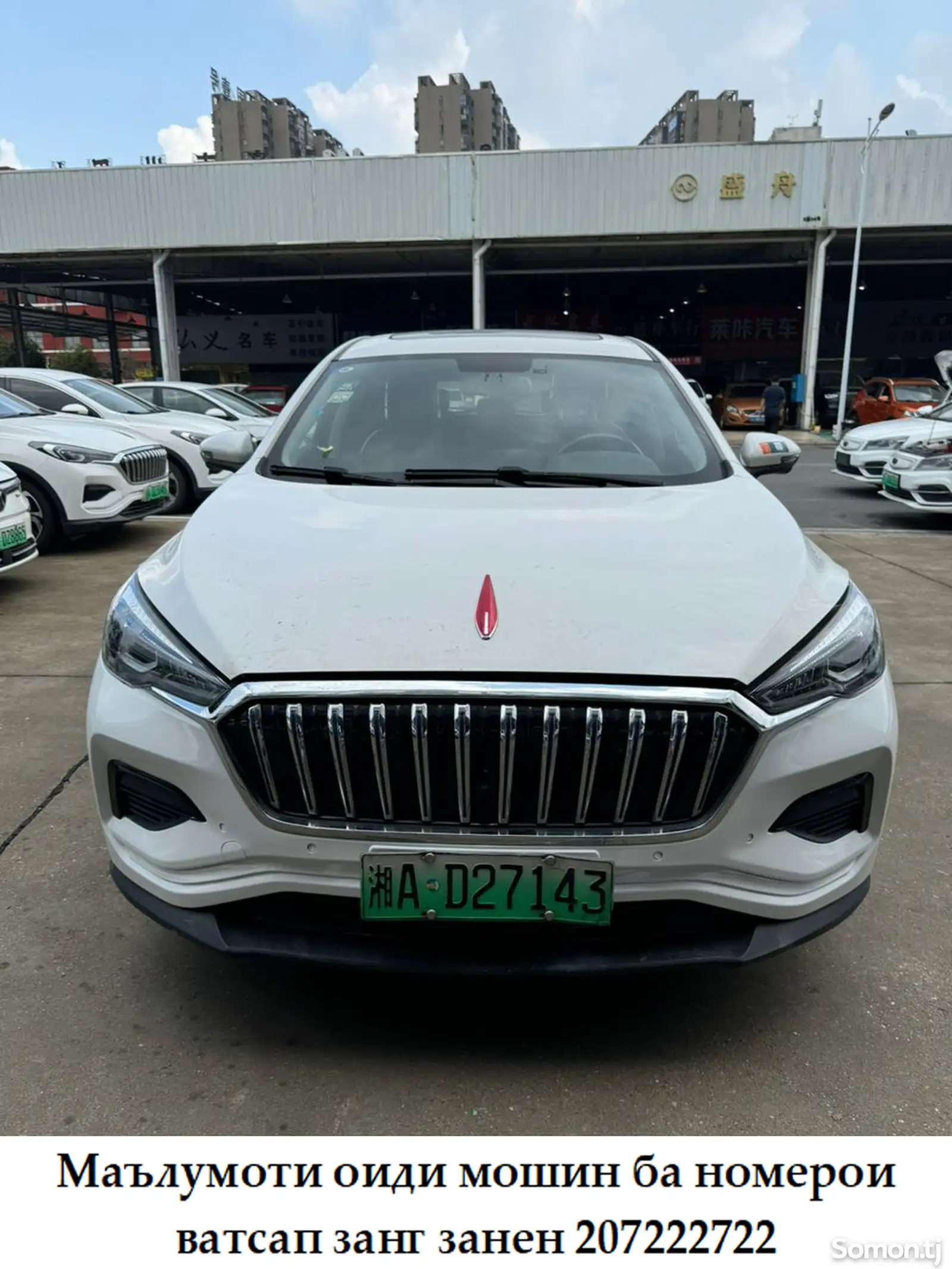 Hongqi E-HS3, 2020-1