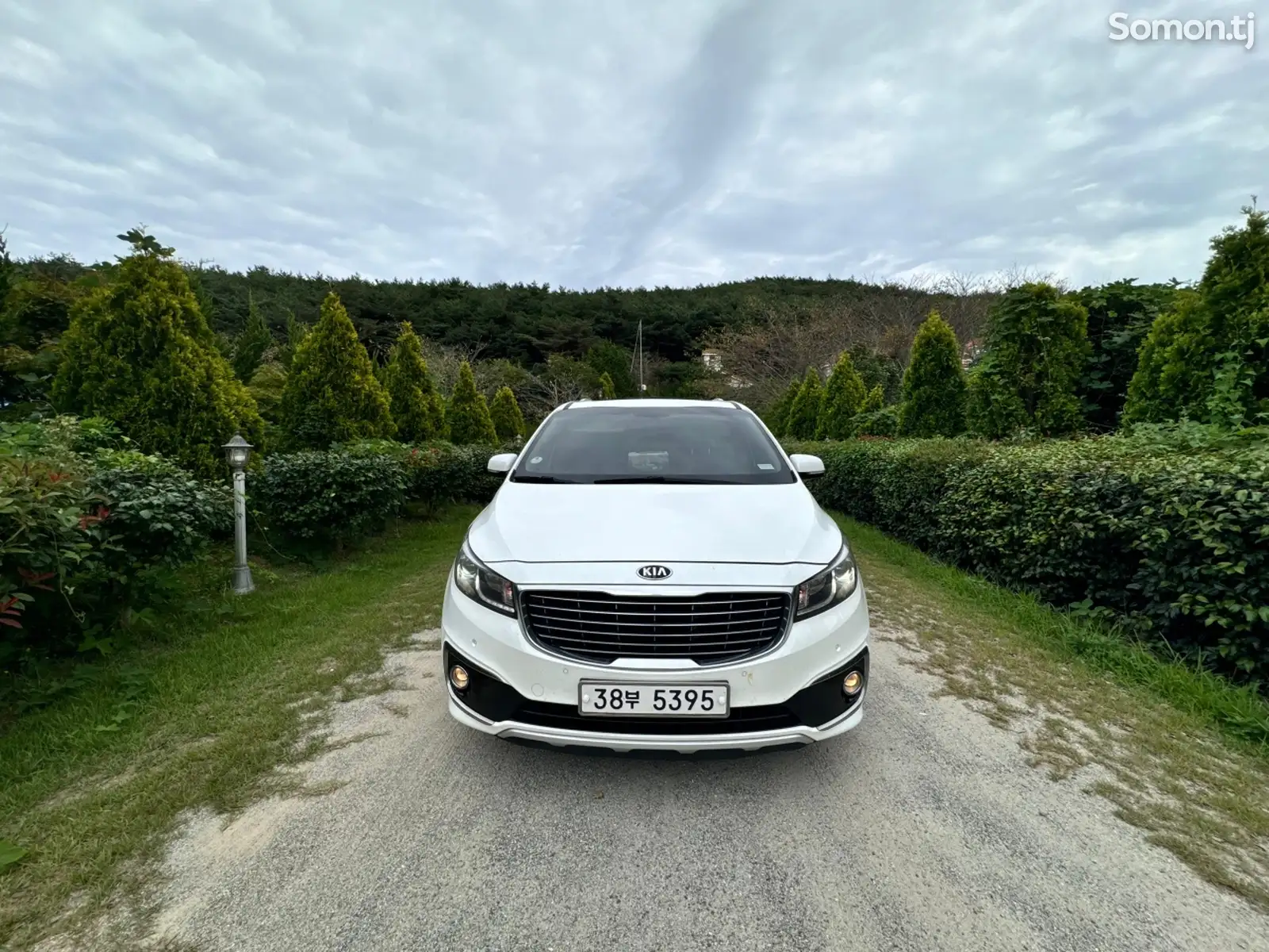 Kia Carnival, 2015-1