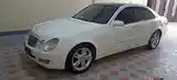 Mercedes-Benz E class, 2008-3