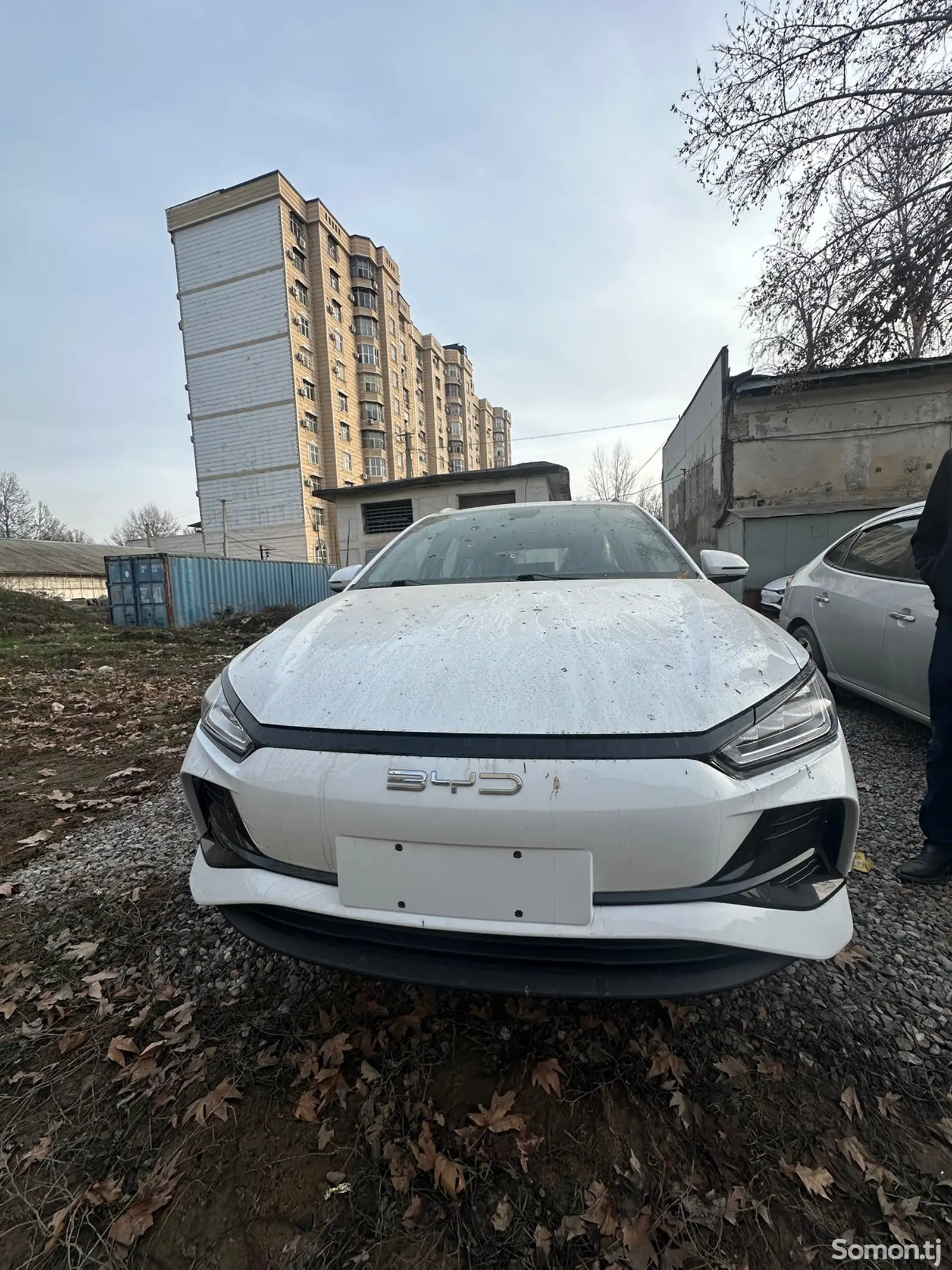 BYD E2, 2024-1