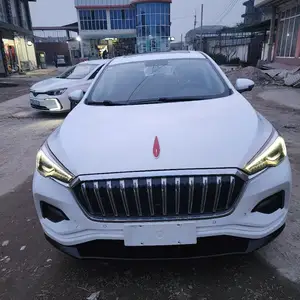 Hongqi E-HS3, 2019