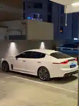 Kia Stinger, 2018-5