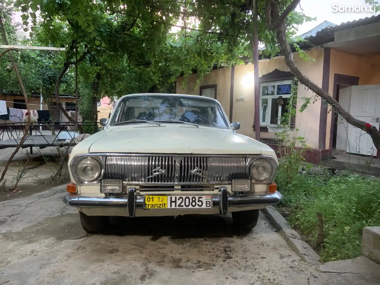 ГАЗ 2401, 1982-8