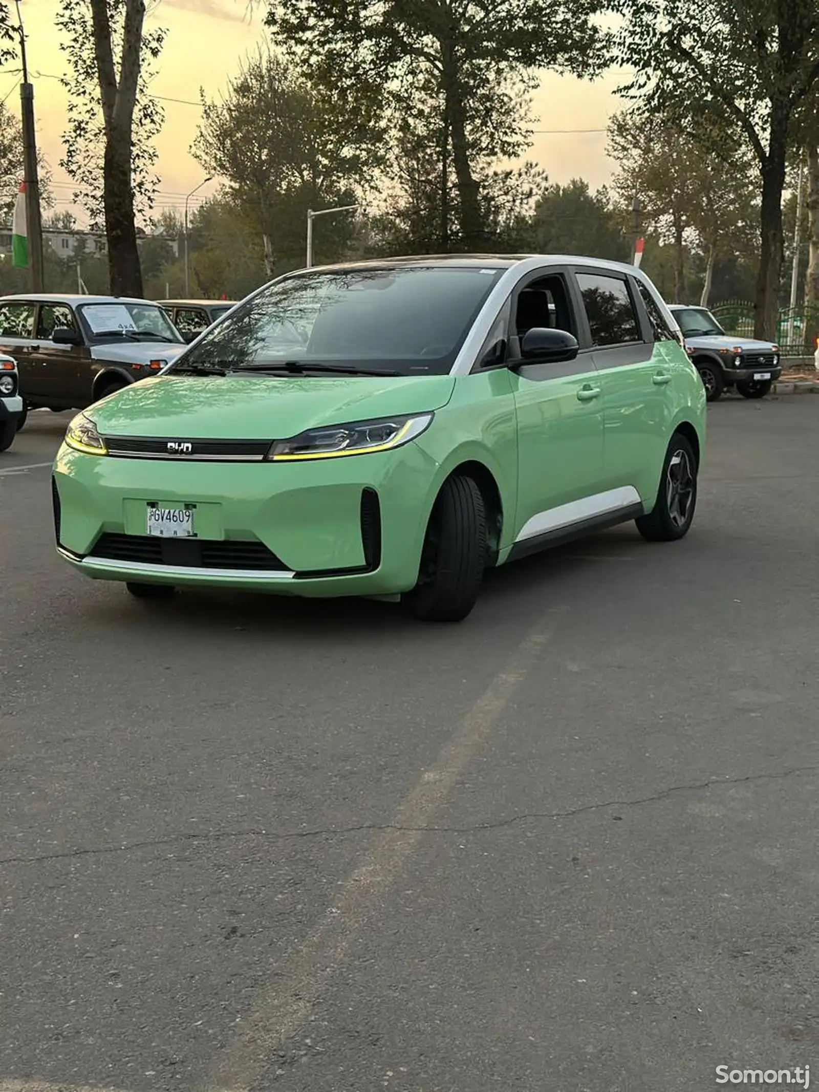 BYD Другие модели, 2021-6