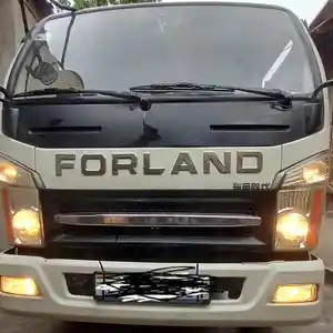 Бортовой грузовик Ford Forland, 2019