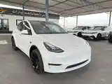 Tesla Model Y, 2025-2