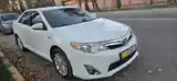 Toyota Camry, 2013-5