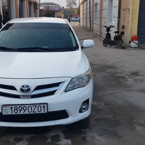 Toyota Corolla, 2010