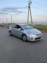 Toyota Prius, 2010-7