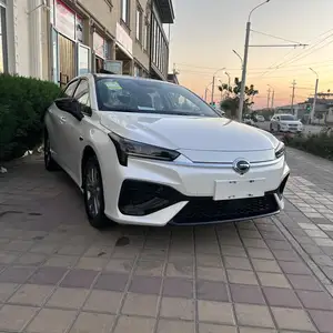 BYD Другие модели, 2024