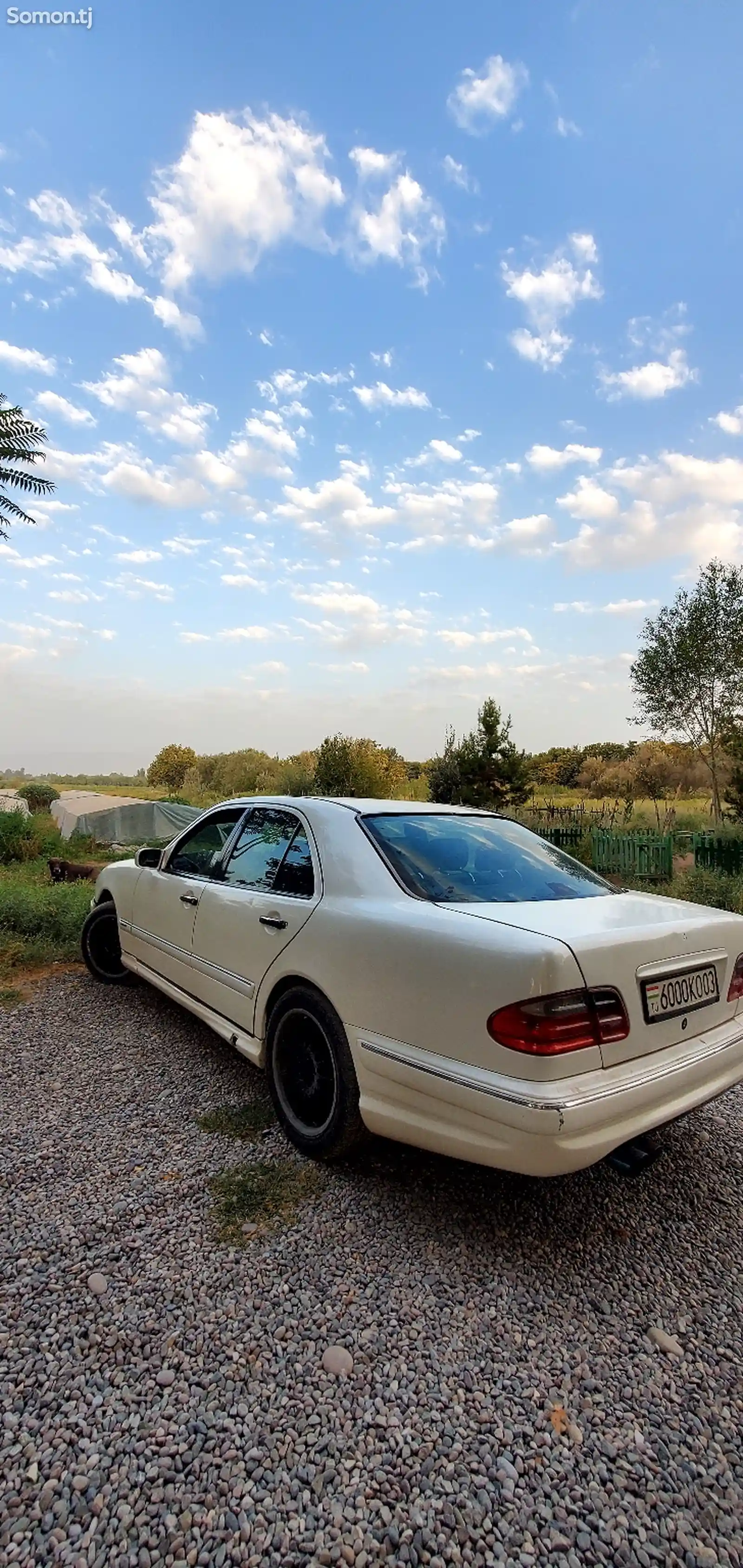 Mercedes-Benz E class, 1997-3