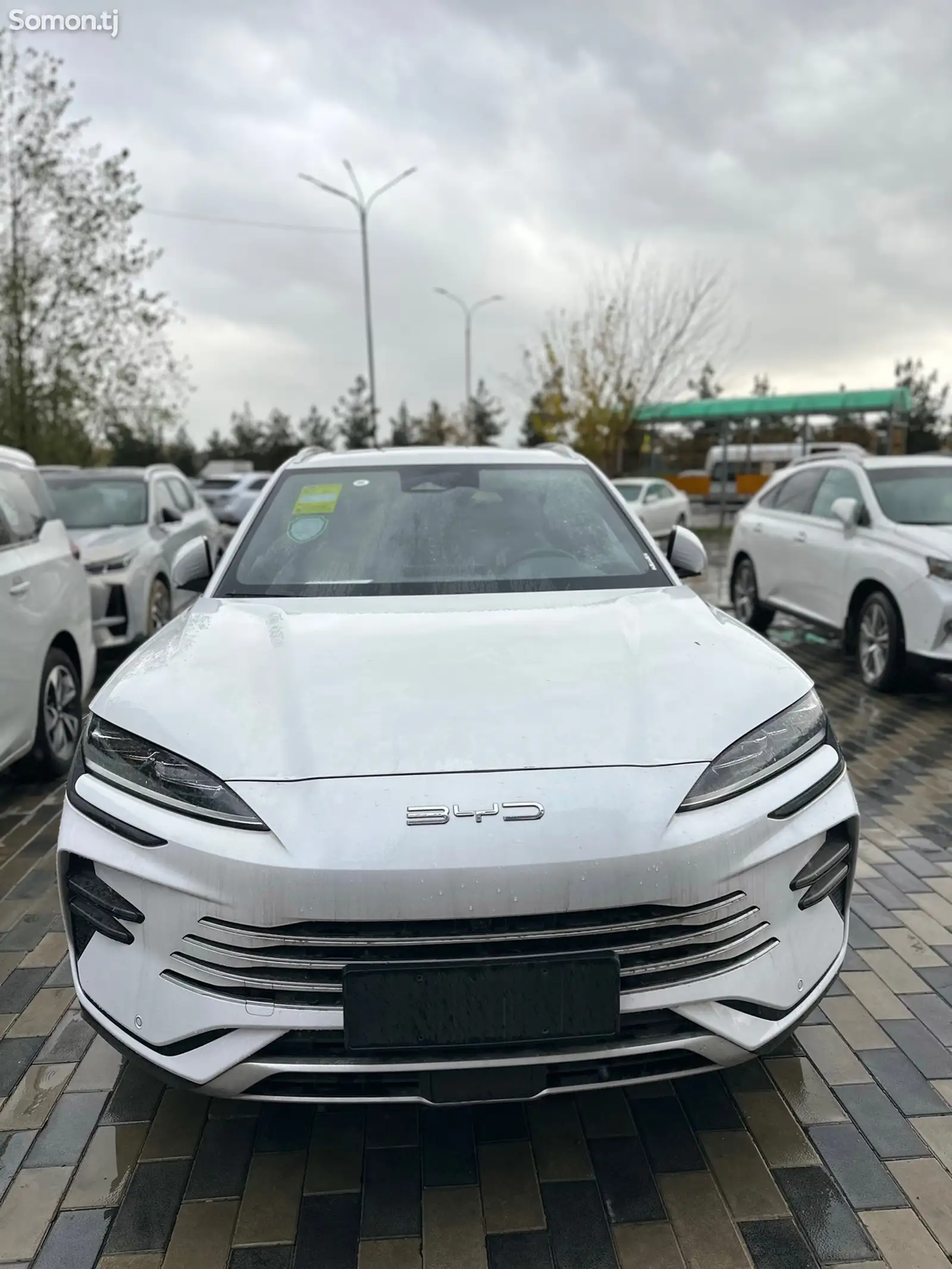 BYD Song Plus, 2024-1