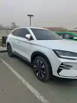 BYD Song Plus Flagship, 2024-8