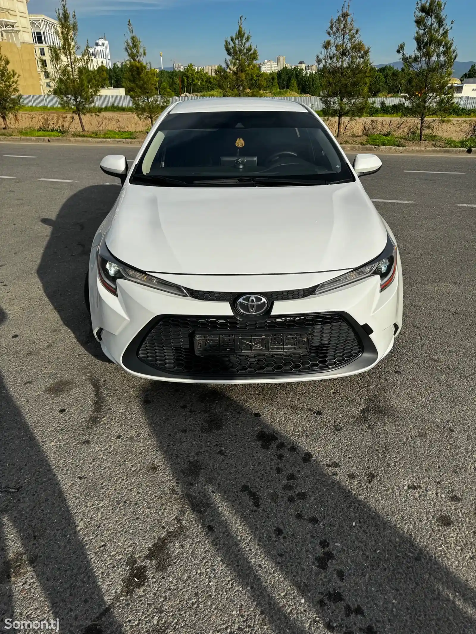 Toyota Corolla, 2020-6