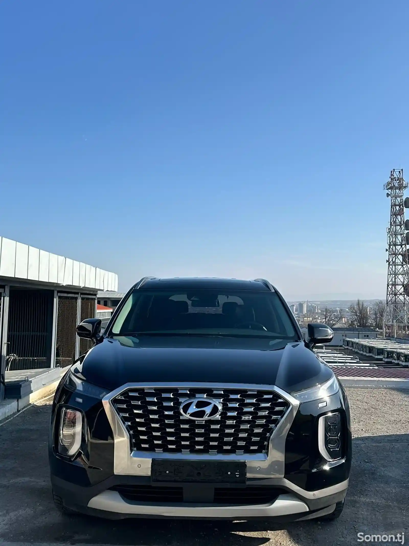 Hyundai Palisade, 2020-1