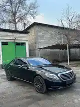 Mercedes-Benz S class, 2014-4