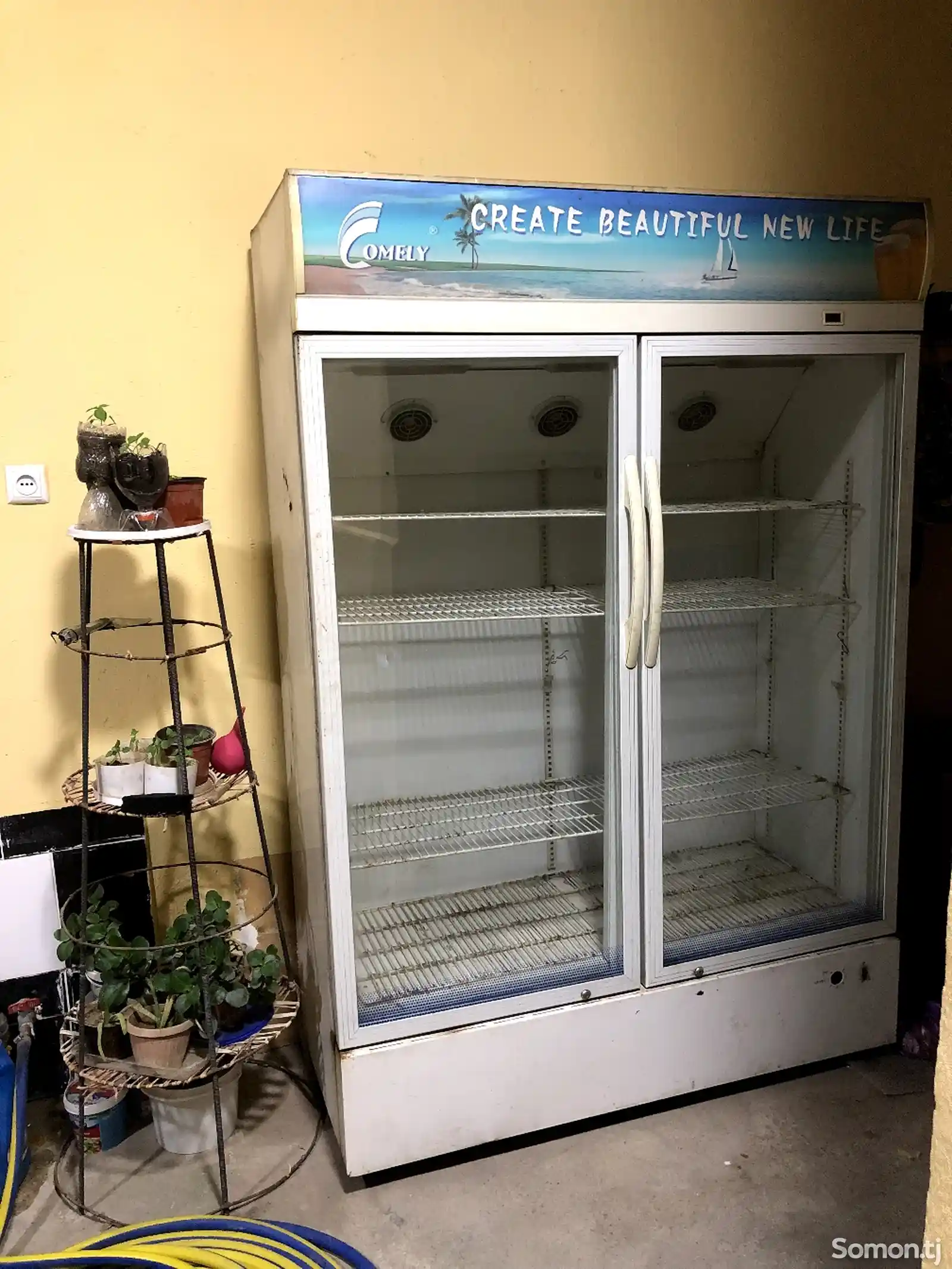Холодильник Витрина-1