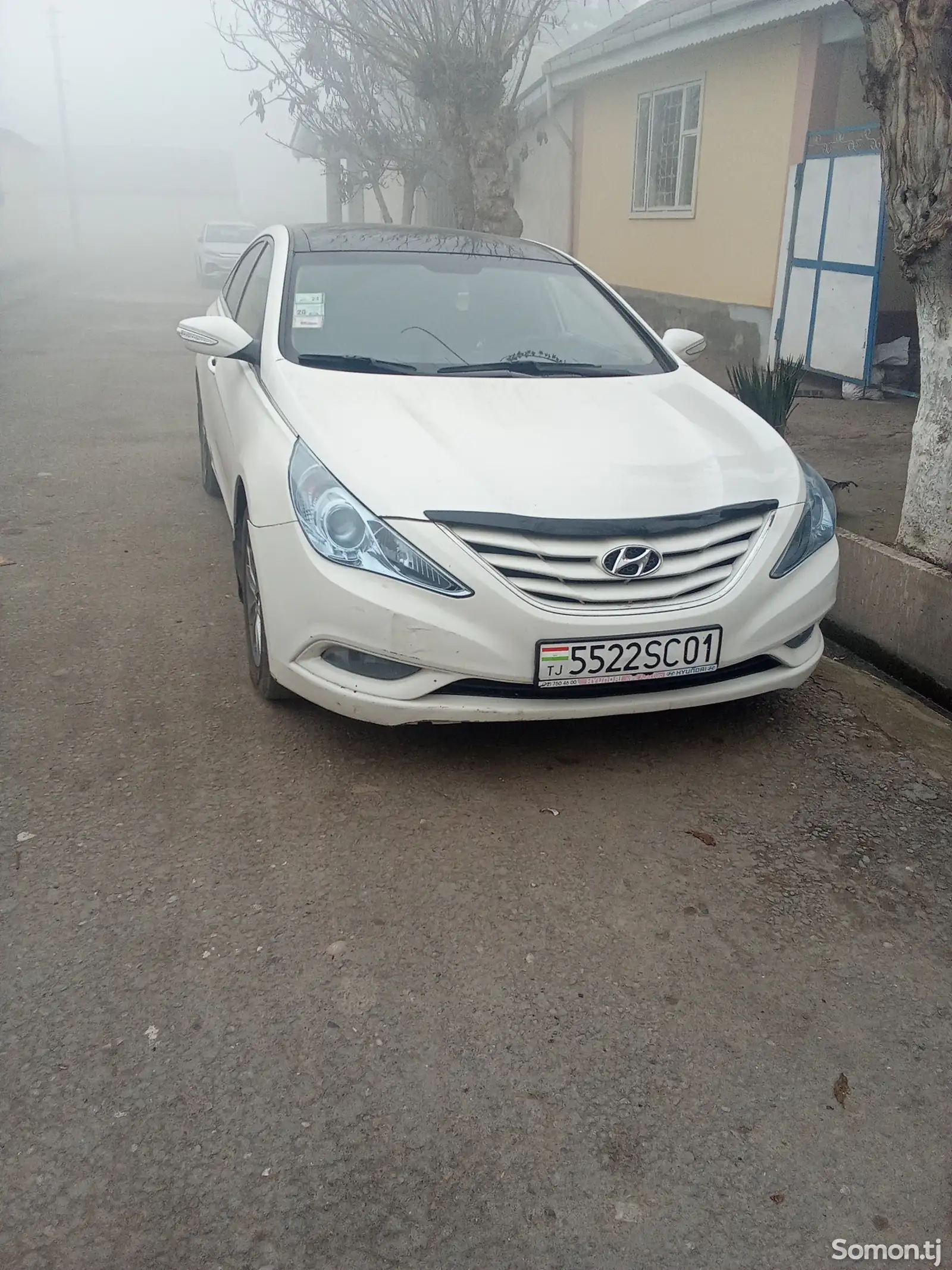 Hyundai Sonata, 2011-1