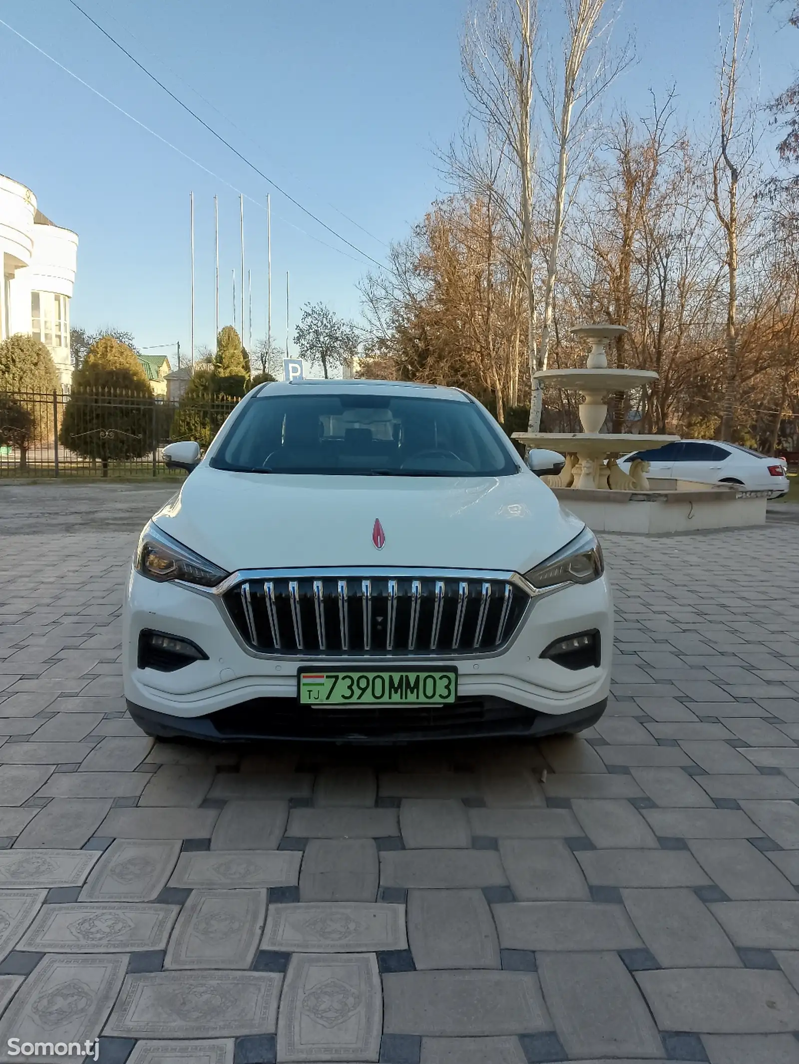 Hongqi E-HS3, 2019-1