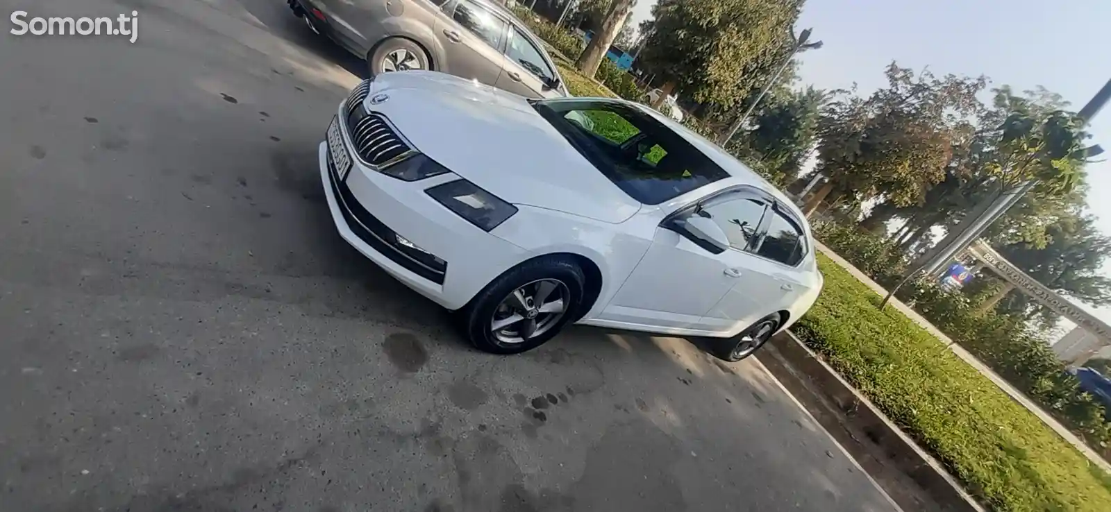 Skoda Octavia, 2019-4