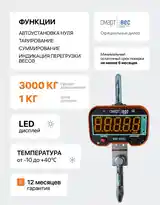 Крановые весы-6