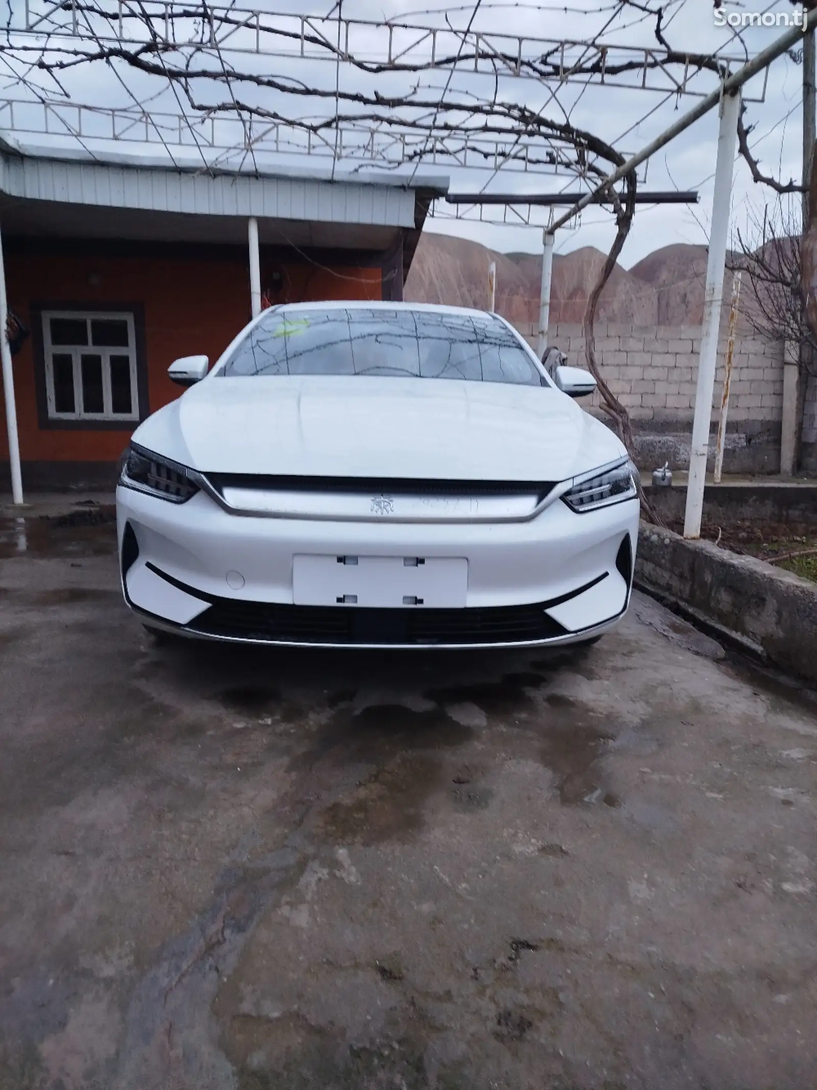 BYD Qin Plus, 2024-1