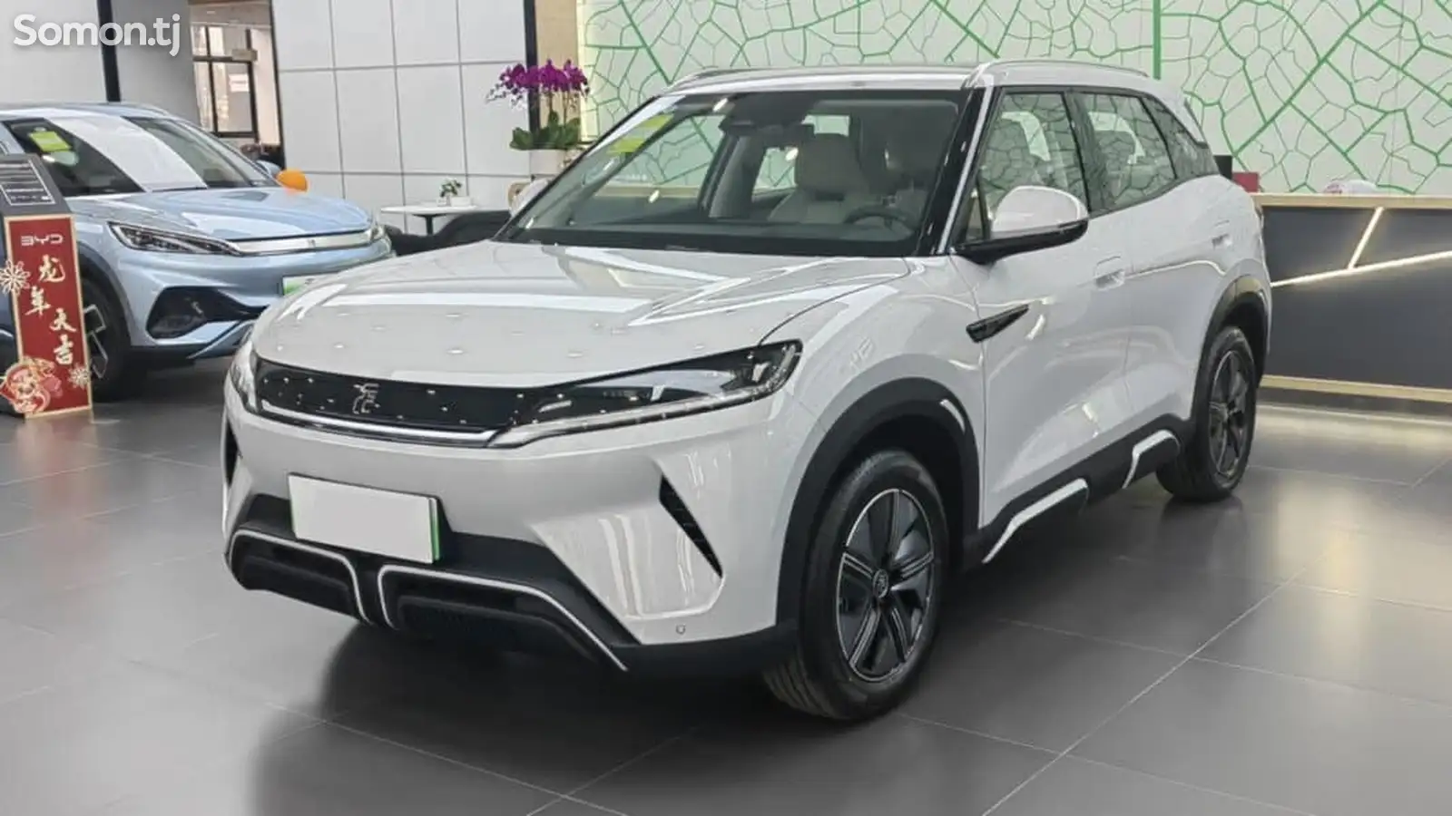 BYD Yuan Up, 2024-1