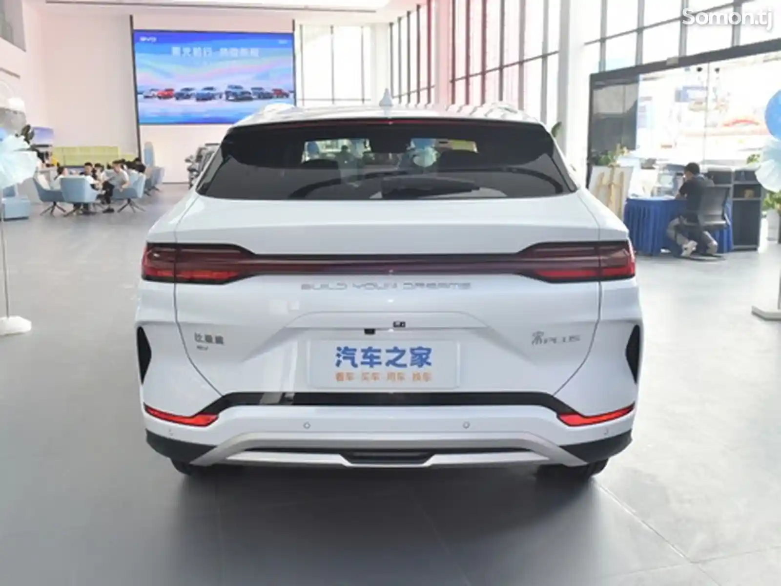 BYD Song Plus Flagship, 2024-5