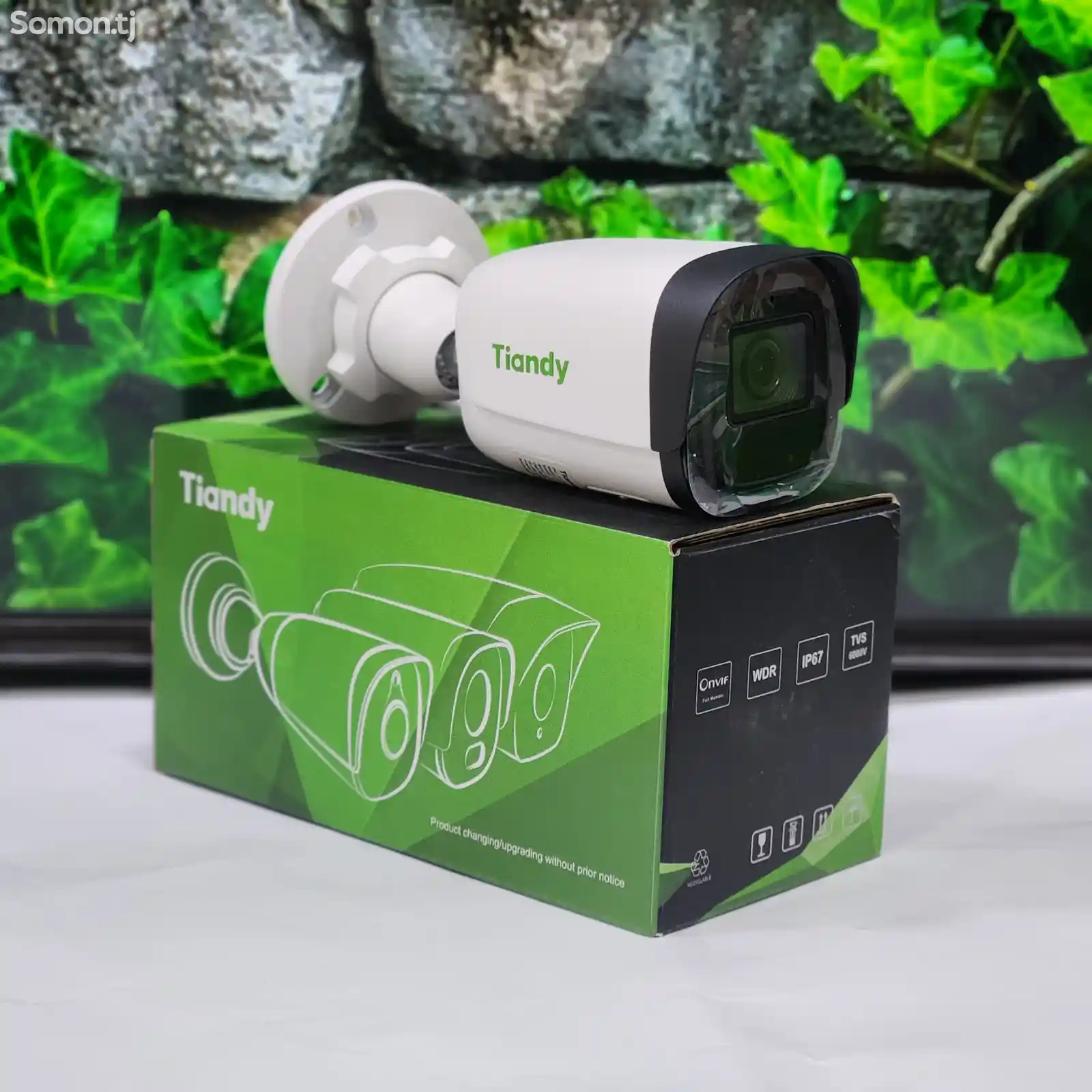 Камера Tiandy SMD IP 2MP со звуком TC-C32WS-3