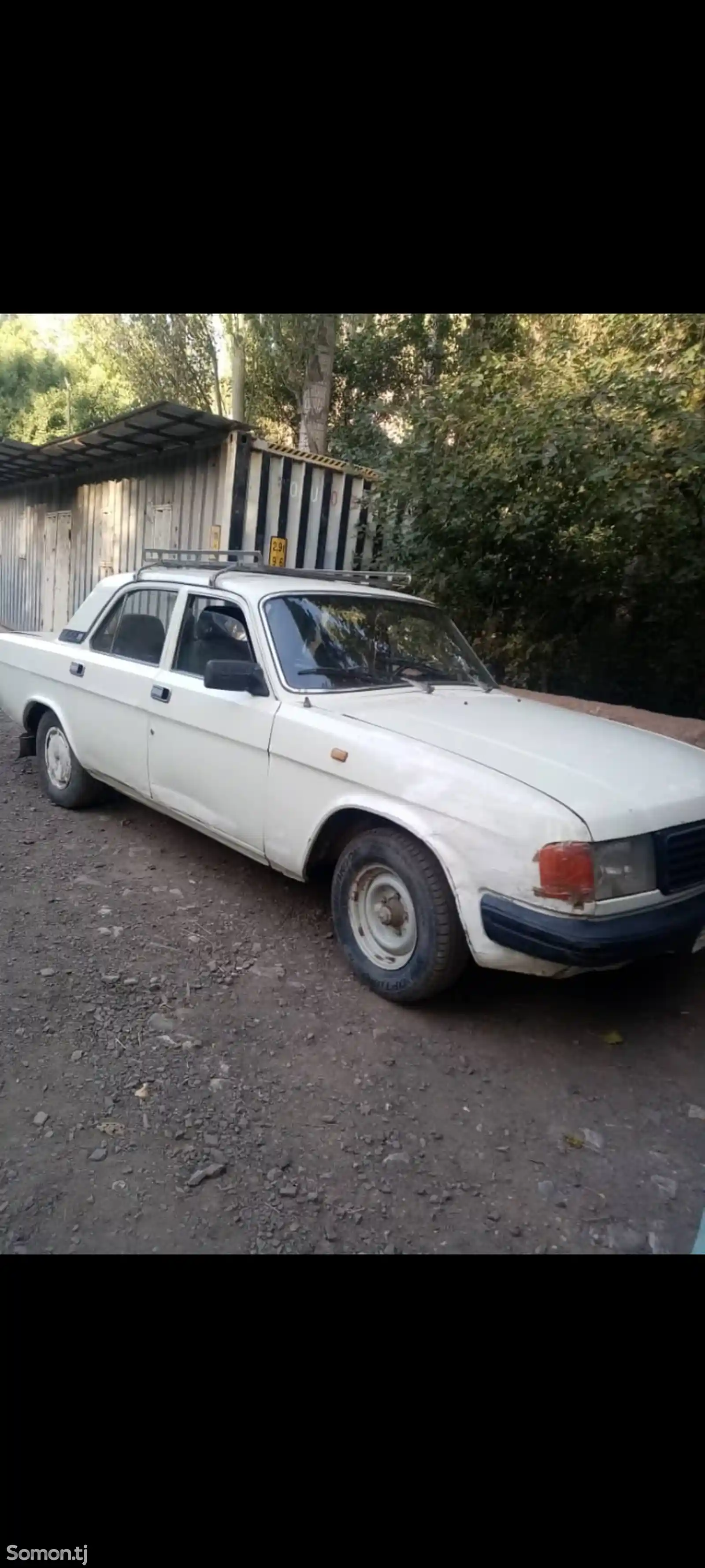 ГАЗ 31029, 1996-1