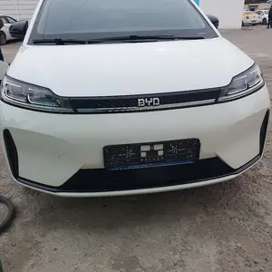 BYD Другие модели, 2022