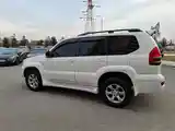 Toyota Land Cruiser Prado, 2007-3